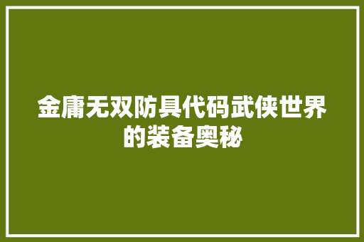 金庸无双防具代码武侠世界的装备奥秘
