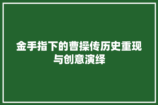 金手指下的曹操传历史重现与创意演绎 英文谷歌算法