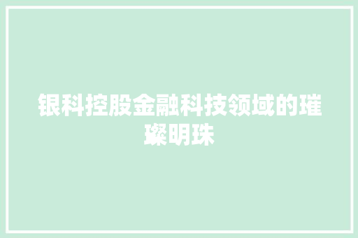 银科控股金融科技领域的璀璨明珠