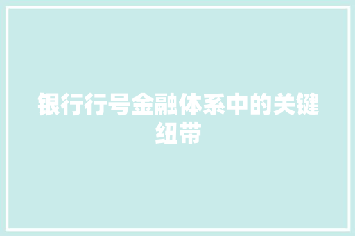 银行行号金融体系中的关键纽带 网站开发