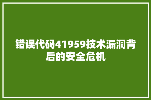 错误代码41959技术漏洞背后的安全危机 头条优化