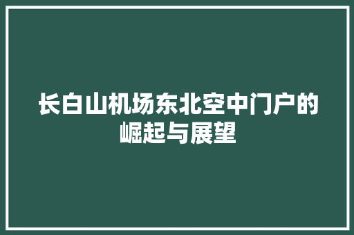 长白山机场东北空中门户的崛起与展望