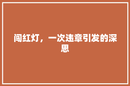 闯红灯，一次违章引发的深思