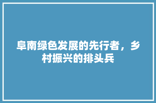 阜南绿色发展的先行者，乡村振兴的排头兵