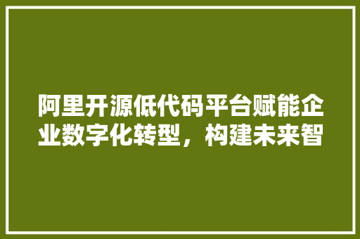 阿里开源低代码平台赋能企业数字化转型，构建未来智能生态
