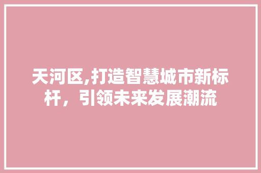 天河区,打造智慧城市新标杆，引领未来发展潮流 天河区,打造智慧城市新标杆，引领未来发展潮流 AI技术学习
