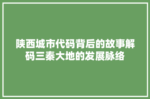 陕西城市代码背后的故事解码三秦大地的发展脉络 seo技术