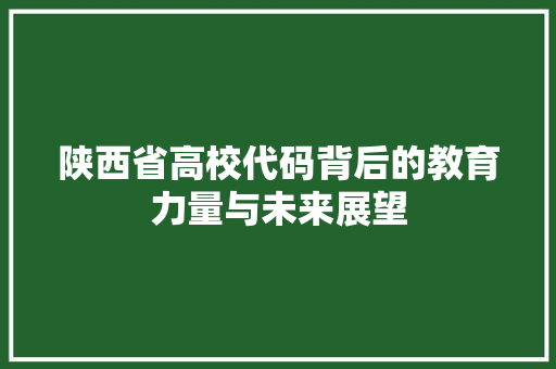 陕西省高校代码背后的教育力量与未来展望 网站优化