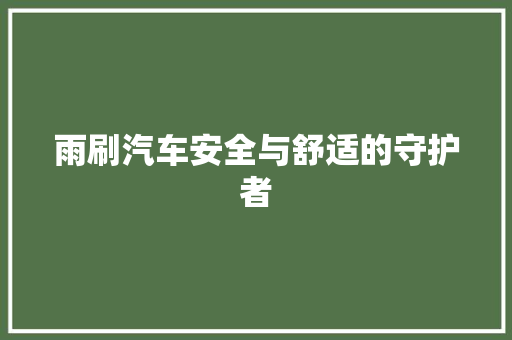 雨刷汽车安全与舒适的守护者 360搜优化