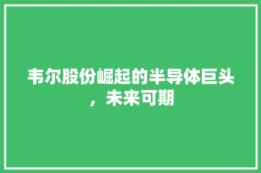 韦尔股份崛起的半导体巨头，未来可期