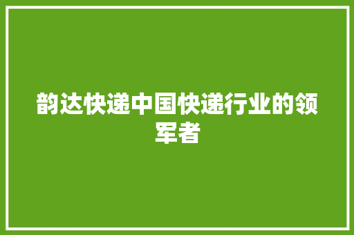 韵达快递中国快递行业的领军者