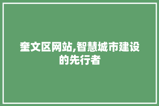 奎文区网站,智慧城市建设的先行者
