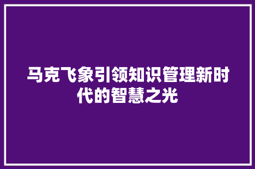 马克飞象引领知识管理新时代的智慧之光 网站优化