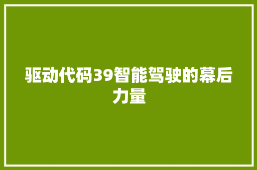 驱动代码39智能驾驶的幕后力量