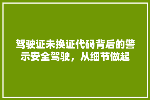 驾驶证未换证代码背后的警示安全驾驶，从细节做起 搜狗优化