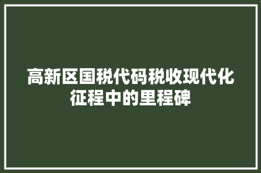 高新区国税代码税收现代化征程中的里程碑