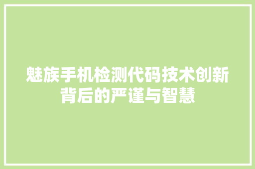 魅族手机检测代码技术创新背后的严谨与智慧 英文谷歌算法