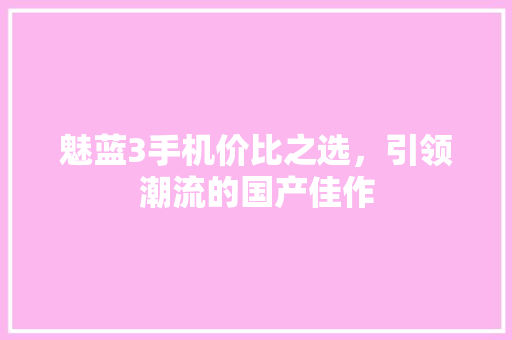 魅蓝3手机价比之选，引领潮流的国产佳作 网站开发