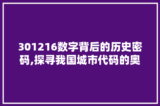 301216数字背后的历史密码,探寻我国城市代码的奥秘 网站开发