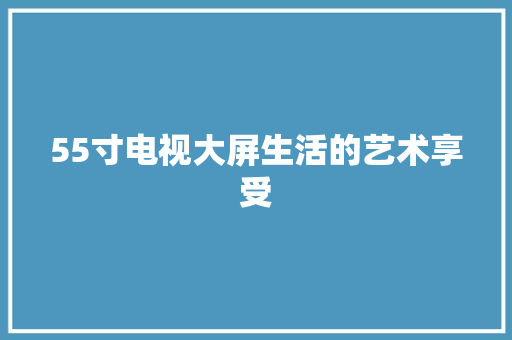 55寸电视大屏生活的艺术享受 seo技术
