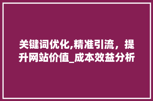 关键词优化,精准引流，提升网站价值_成本效益分析
