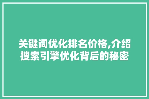 关键词优化排名价格,介绍搜索引擎优化背后的秘密