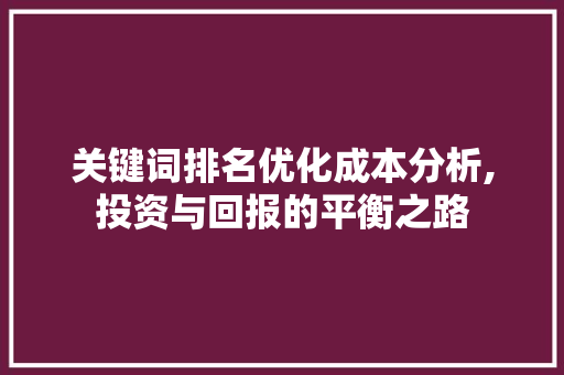 关键词排名优化成本分析,投资与回报的平衡之路