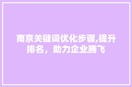 南京关键词优化步骤,提升排名，助力企业腾飞