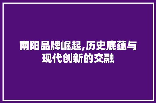 南阳品牌崛起,历史底蕴与现代创新的交融