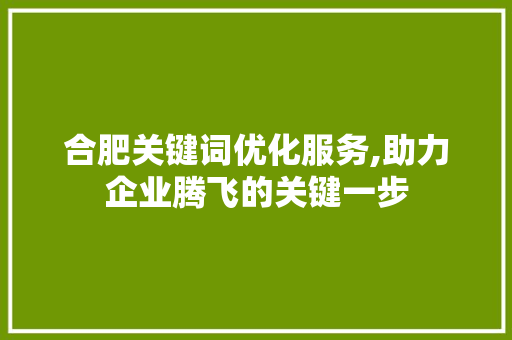 合肥关键词优化服务,助力企业腾飞的关键一步 百度算法