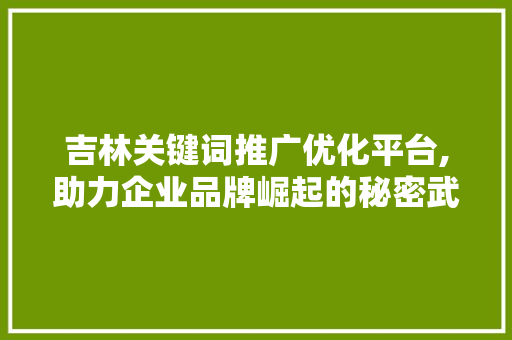 吉林关键词推广优化平台,助力企业品牌崛起的秘密武器