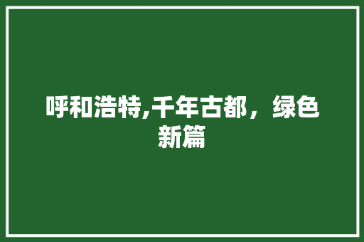 呼和浩特,千年古都，绿色新篇 seo技术