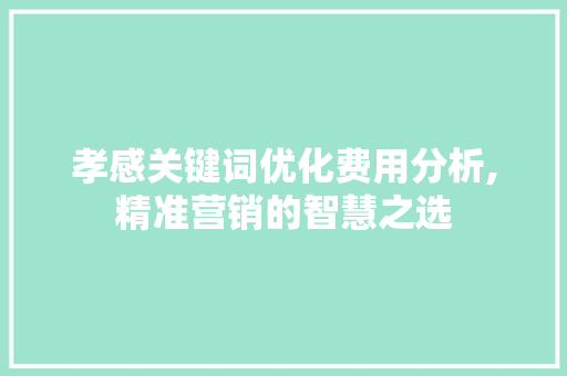 孝感关键词优化费用分析,精准营销的智慧之选