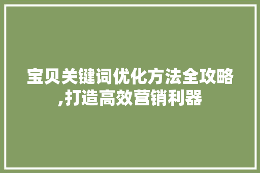 宝贝关键词优化方法全攻略,打造高效营销利器