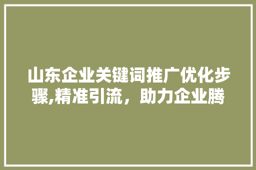 山东企业关键词推广优化步骤,精准引流，助力企业腾飞 百度算法