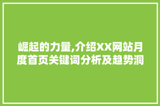 崛起的力量,介绍XX网站月度首页关键词分析及趋势洞察 小程序开发