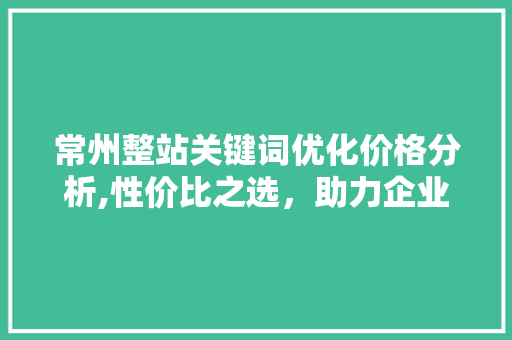 常州整站关键词优化价格分析,性价比之选，助力企业互联网营销 seo技术