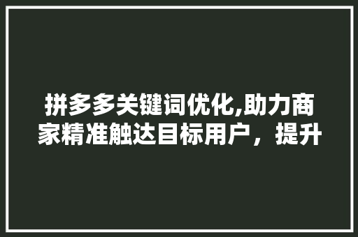 拼多多关键词优化,助力商家精准触达目标用户，提升店铺销量
