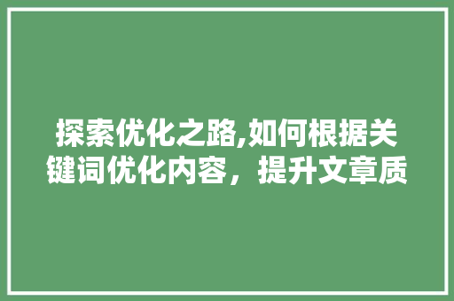 探索优化之路,如何根据关键词优化内容，提升文章质量