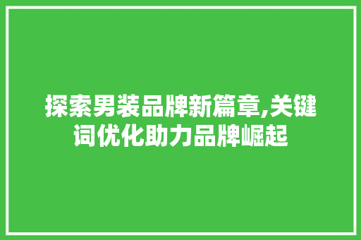探索男装品牌新篇章,关键词优化助力品牌崛起