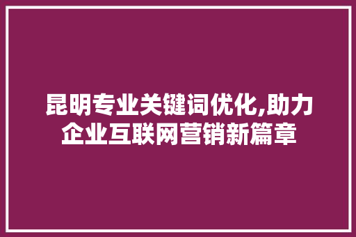 昆明专业关键词优化,助力企业互联网营销新篇章