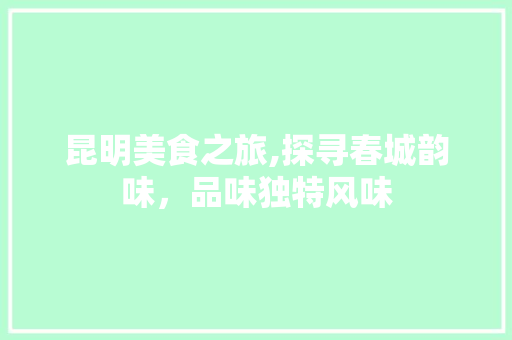 昆明美食之旅,探寻春城韵味，品味独特风味