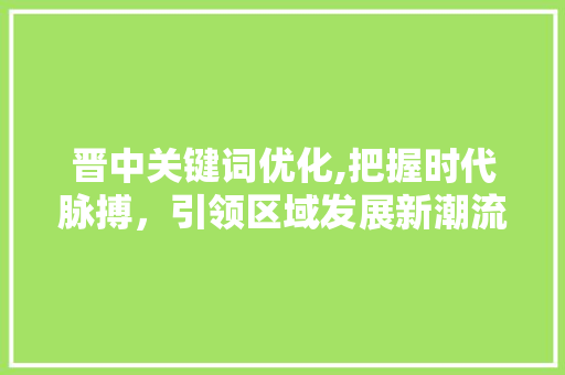 晋中关键词优化,把握时代脉搏，引领区域发展新潮流