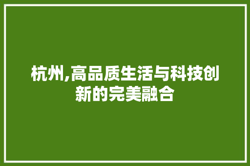 杭州,高品质生活与科技创新的完美融合 seo技术