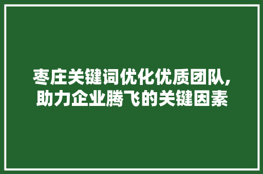 枣庄关键词优化优质团队,助力企业腾飞的关键因素