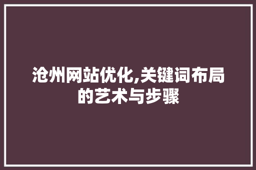 沧州网站优化,关键词布局的艺术与步骤