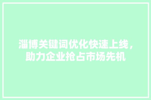 淄博关键词优化快速上线，助力企业抢占市场先机 小程序开发