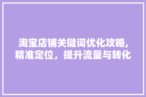 淘宝店铺关键词优化攻略,精准定位，提升流量与转化率 百度算法