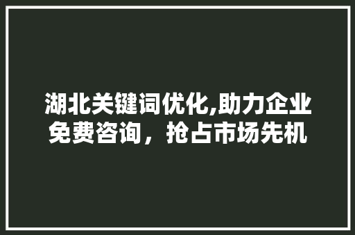 湖北关键词优化,助力企业免费咨询，抢占市场先机 网站优化