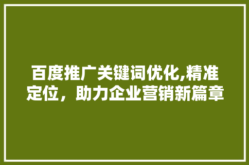 百度推广关键词优化,精准定位，助力企业营销新篇章 英文谷歌算法